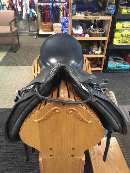 2. 17 ½ Rembrandt Dressage