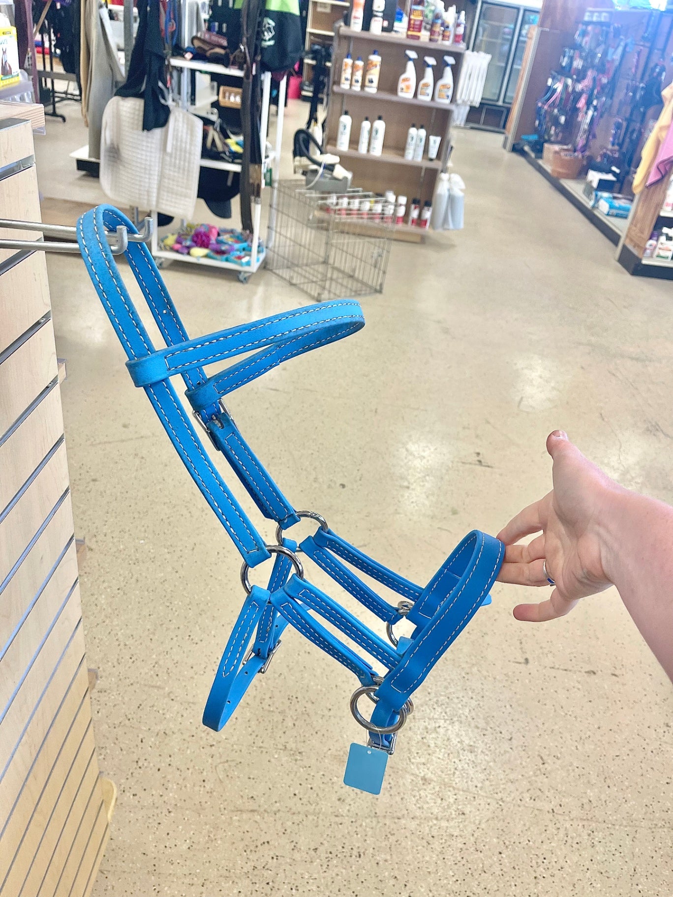 56. Blue Cob Biothane Bitless Bridle