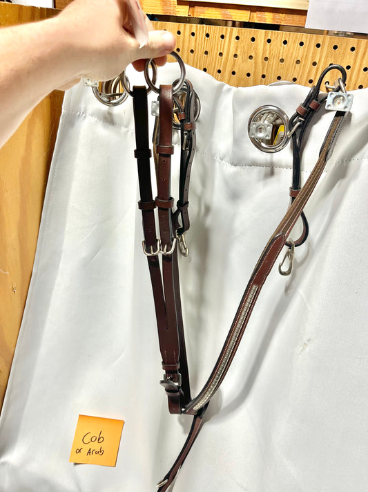 Cob Runners brand brown clincher padded breastcollar w/running martingale attachment and elastic, NWT