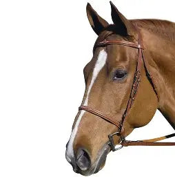 HDR English Bridle and Reins Set