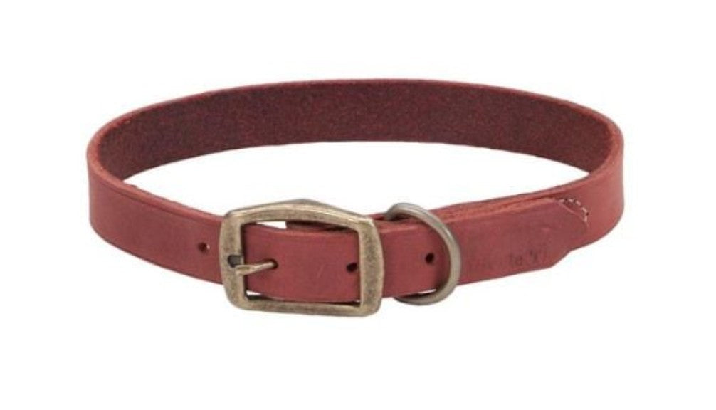 Coastal Flat Leather Collars, Circle T