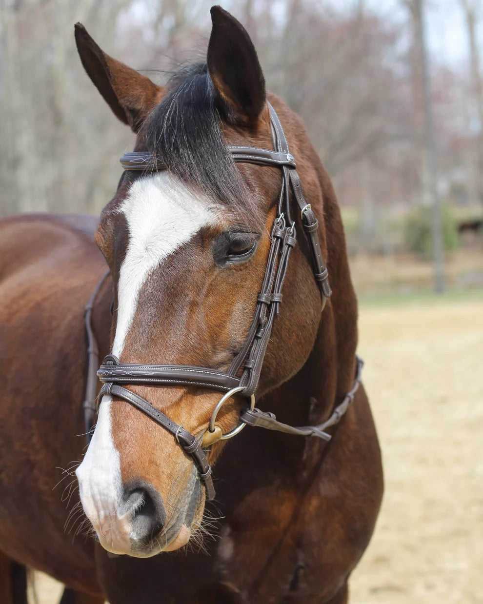 English Bridles and Bridlework