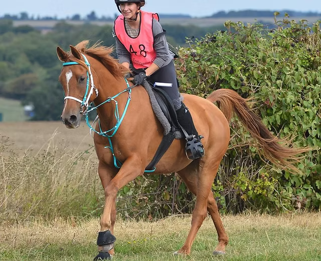 Endurance Tack and Biothane Tack