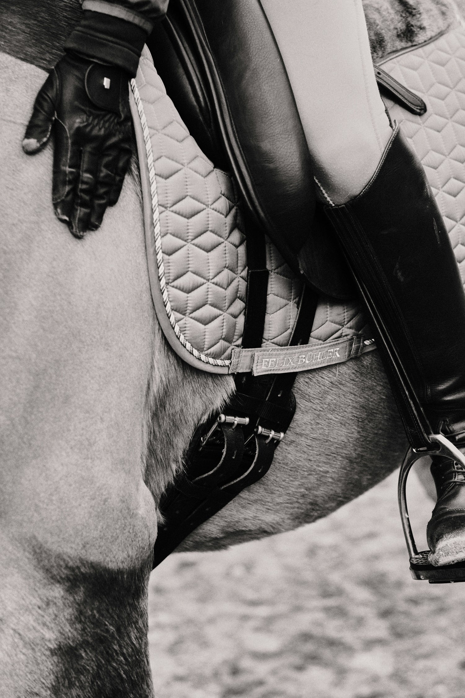 English Saddle Pads and Half Pads, All Sizes