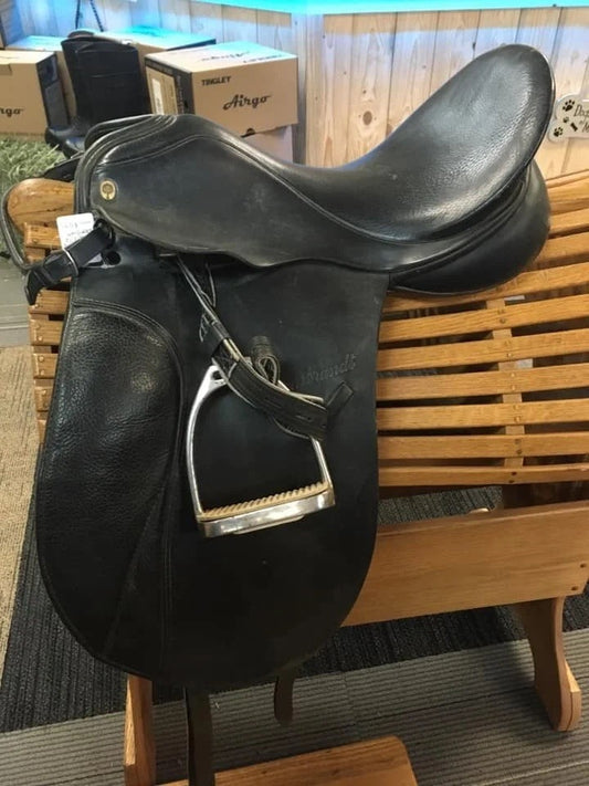 2. 17 ½ Rembrandt Dressage