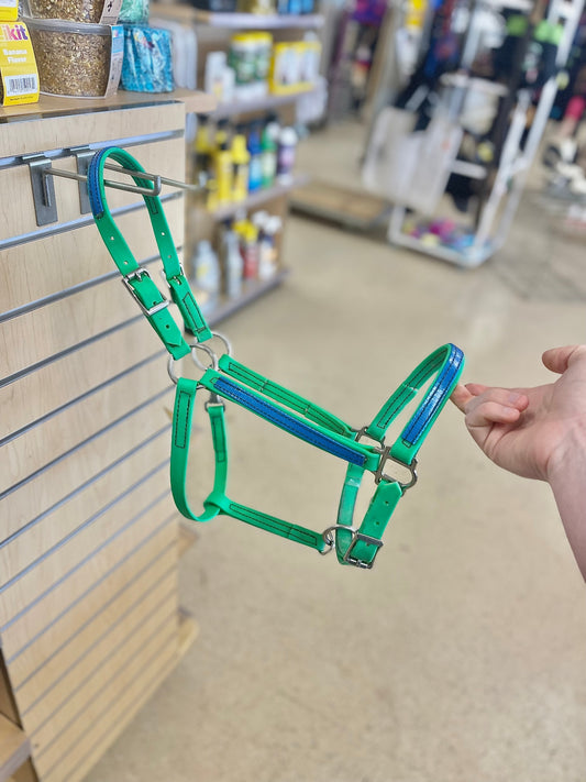 Cob green/blue biothane halter, Two horse tack