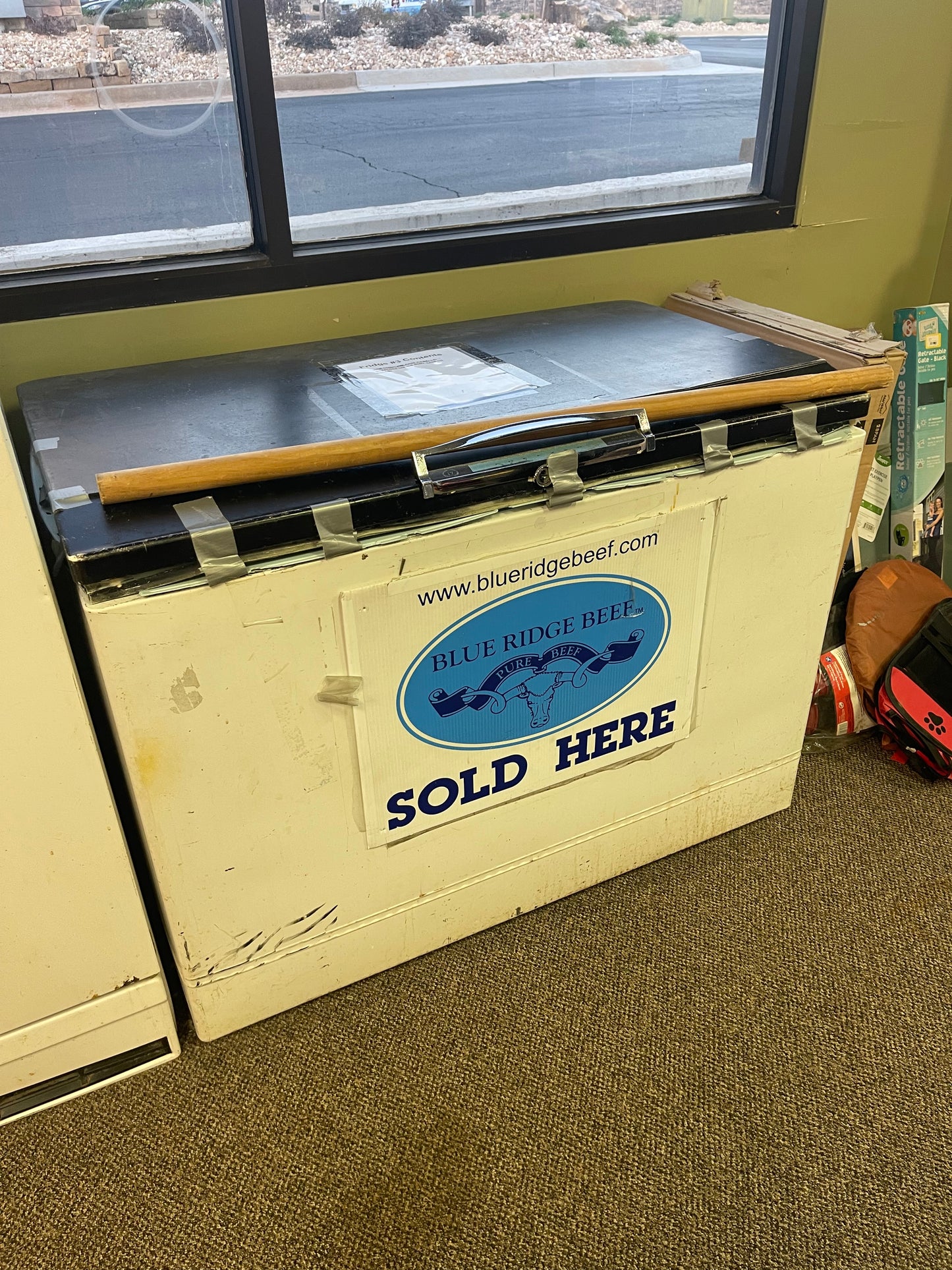 Chest freezer (used to store frozen raw dog food)