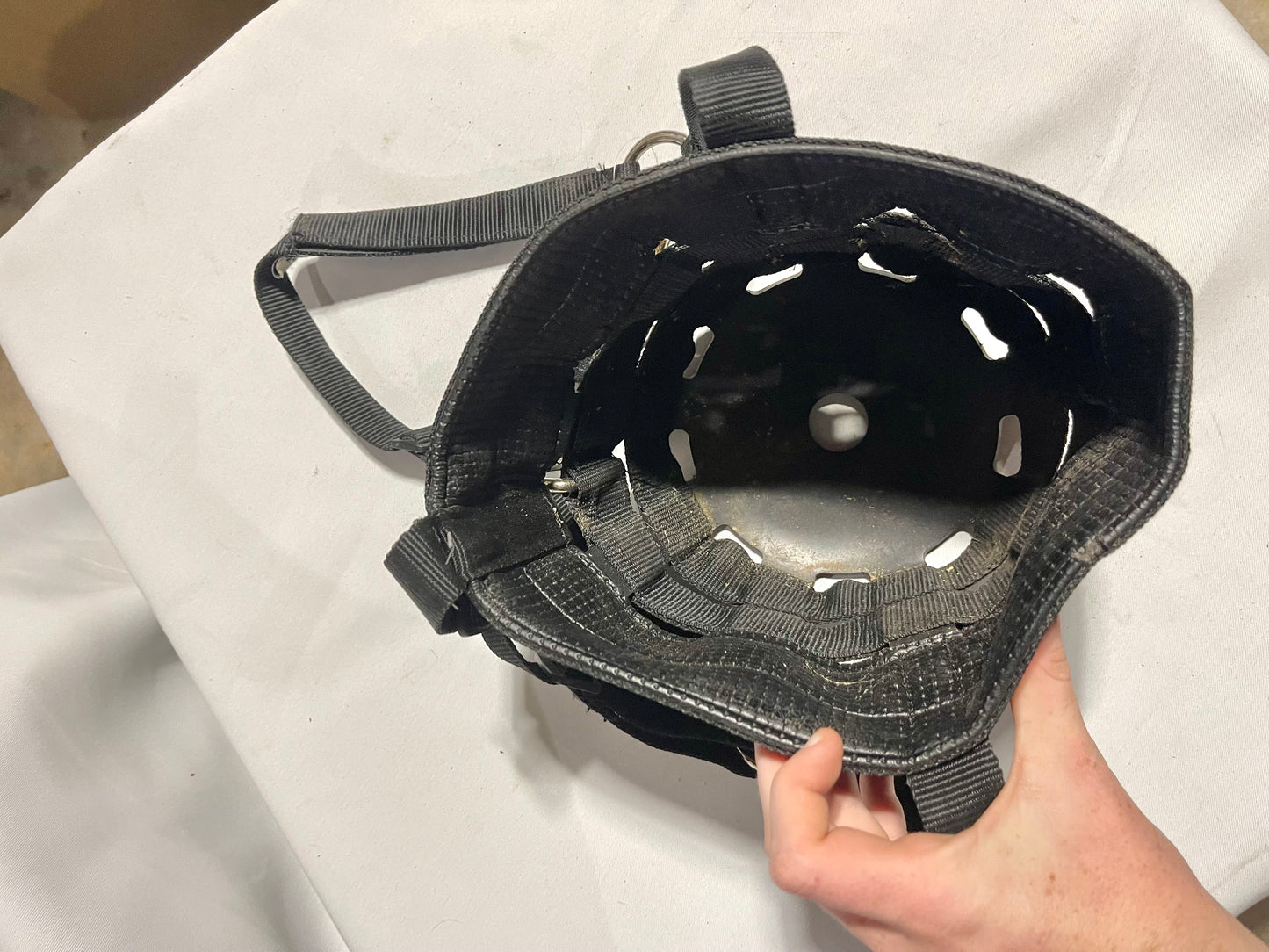 Horse Sz black standard padded muzzle with halter, new in package