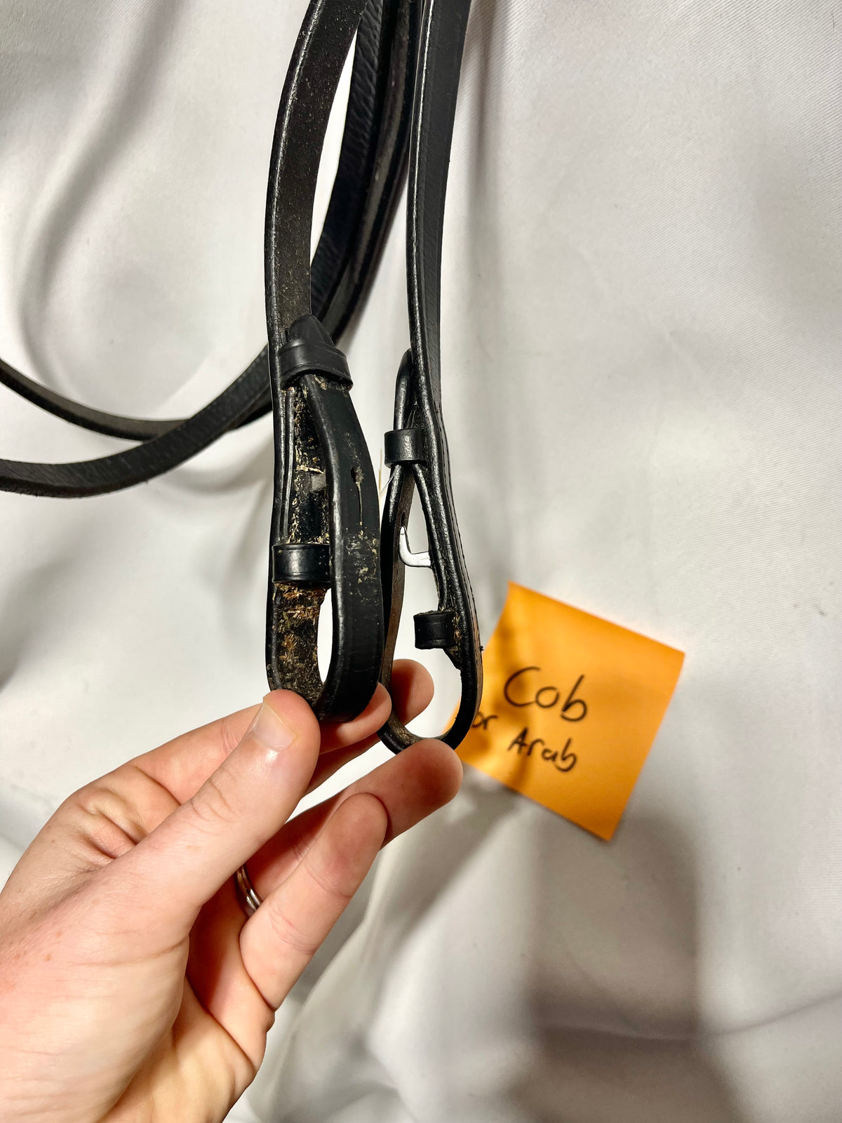 58" thin ½” black English curb rein with leather keeper at top, lightly used