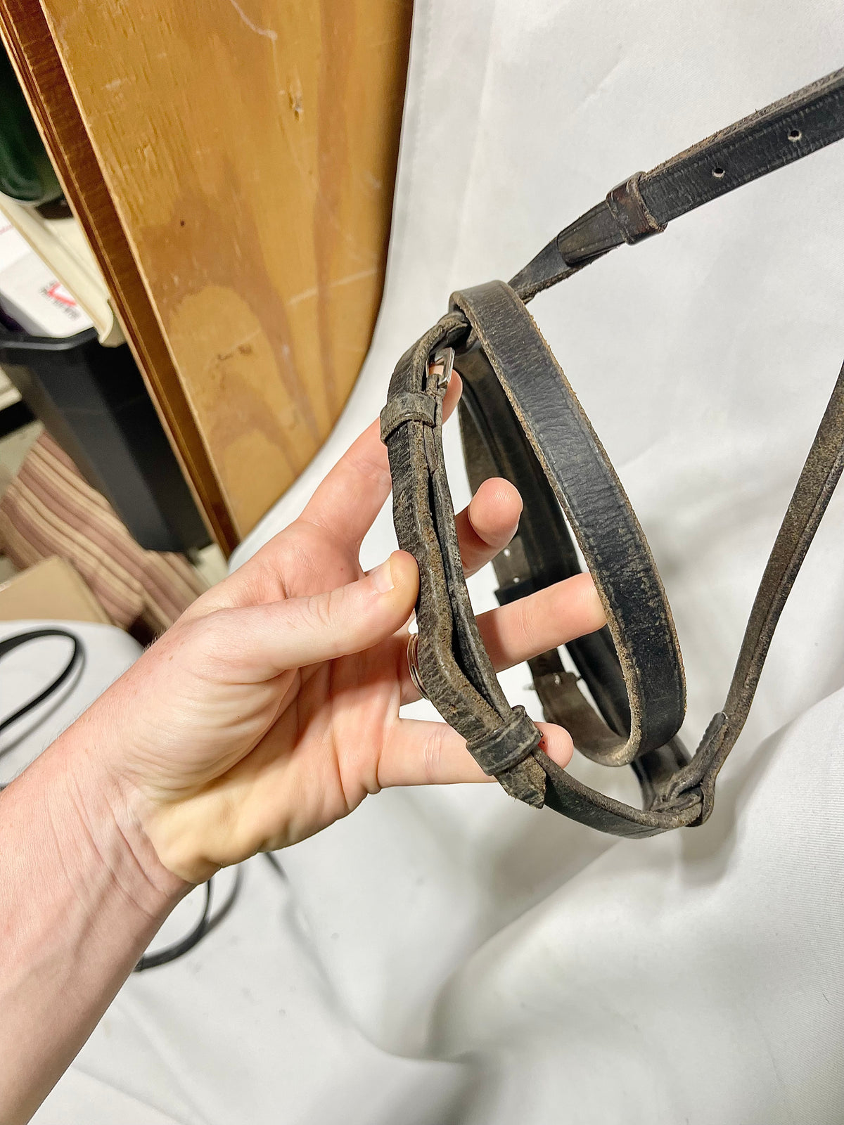 Black Cob size Black padded English cavesson noseband, with flash-well used, appeared to be full size but was cut down to Cob size