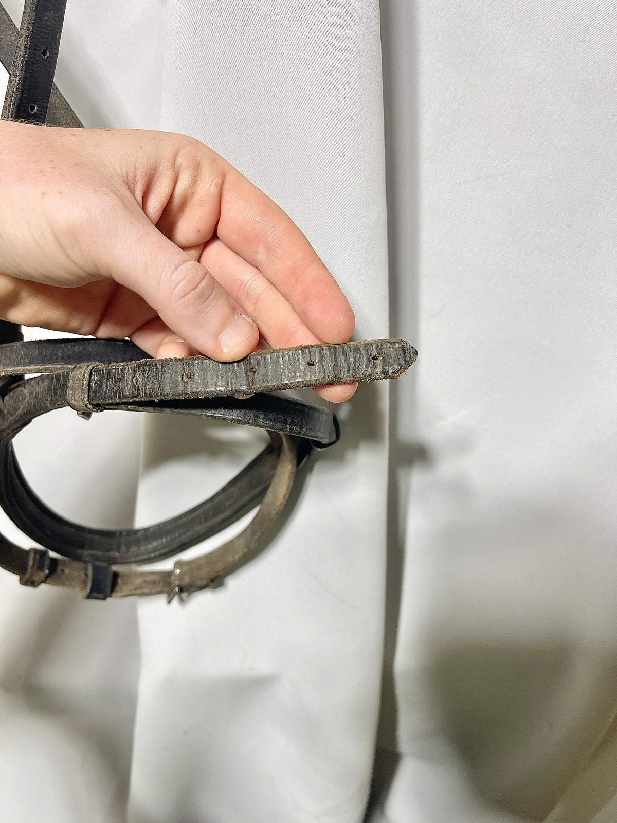 Black Cob size Black padded English cavesson noseband, with flash-well used, appeared to be full size but was cut down to Cob size