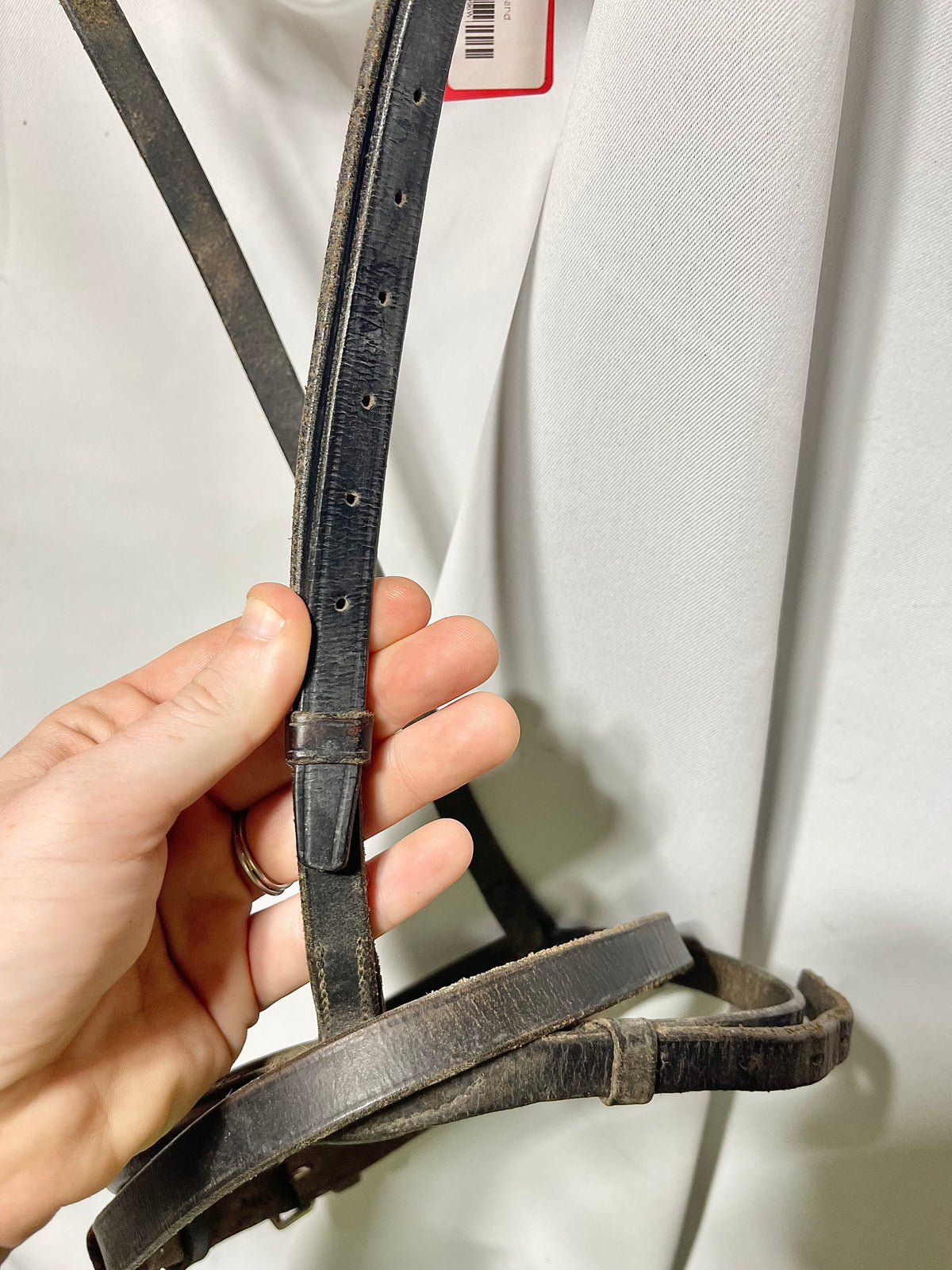 Black Cob size Black padded English cavesson noseband, with flash-well used, appeared to be full size but was cut down to Cob size