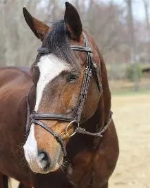 HDR English Bridle and Reins Set