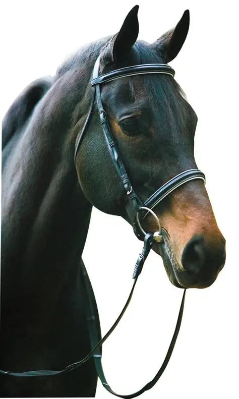 HDR English Bridle and Reins Set