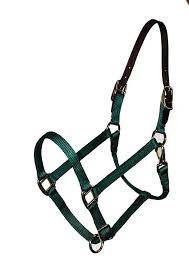 Halter, Large Horse/Oversize Nylon Adjustable
