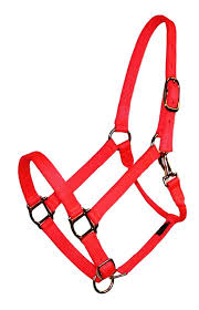 Halter, Horse/Full/Average Nylon Adjustable