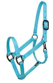 Halter, Small Horse/Cob/Arab Nylon Adjustable